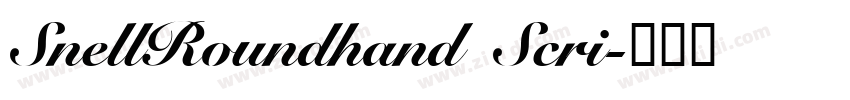SnellRoundhand Scri字体转换